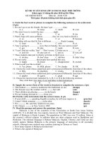 Đề thi vào 10 (2010) Đà Nẵng