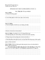 Đề KSCL tuần 11