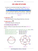 Các lệnh vẽ cơ bản docx