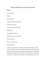 Miễn giảm thi hành án đối với các khoản án phí, tiền phạt pps