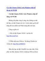 Cà i đặt Ubuntu 10.04.1 trên Windows thật dễ dà ng với WUBI pps