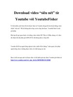 Download video “siêu nét” từ Youtube với YoutubeFisher potx