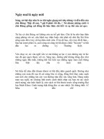 NGÀY MAI LÀ NGÀY MỚI