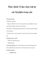 Thực hành về lựa chọn trật tự các bộ phận trong câu pdf