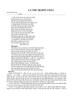 Lá thư bị đốt cháy      Puskin