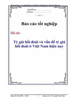 Đề án môn học: Tỷ giá hối đoái và vấn đề tỷ giá hối đoái ở Việt Nam hiện nay doc
