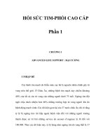 HỒI SỨC TIM-PHỔI CAO CẤP - Phần 1 pps