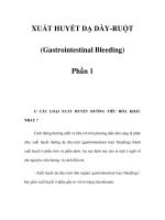 XUẤT HUYẾT DẠ DÀY-RUỘT (Gastrointestinal Bleeding) - Phần 1 ppsx