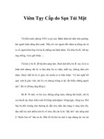 Viêm Tụy Cấp do Sạn Túi Mật ppt