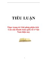 Tiểu luận:Thực trạng & Giải pháp phân tích Cán cân thanh toán quốc tế ở Việt Nam hiện nay ppsx