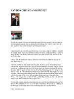 VĂN HÓA CHỬI CỦA NGƯỜI VIỆT NAM