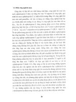 Giáo án môn học Công nghệ dược phẩm - Ts.Trương Thị Minh Hạnh phần 6 pdf