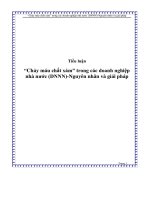 tiểu luận “chảy máu chất xám” trong các doanh nghiệp nhà nước (dnnn) - nguyên nhân và giải pháp