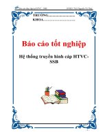 Báo cáo thực tập 