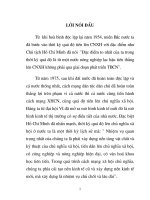 Sự phát triển của nền kinh tế hàng hóa ở nước ta part1 pptx