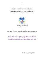 Tiểu luận: Sự phát triển của dịch vụ ngân hàng tài chinh ở Singapore và bài học kinh nghiệm với Việt Nam pdf