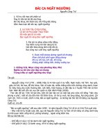 Phân tích : BÀI CA NGẤT NGƯỞNG Nguyễn Công Trứ