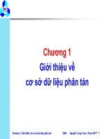 Chương 1 Giới thiệu về cơ sở dữ liệu phân tánChương 1. Giới thiệu về cơ pdf