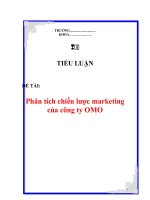 Tiểu luận: Phân tích chiến lược marketing của công ty OMO ppt