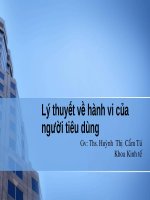 Chương 3: Lý thuyết về hành vi của người tiêu dùng pps