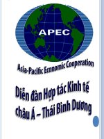 Bài thuyết trình diễn đàn hợp tác kinh tế Châu Á- Thái Bình Dương pot