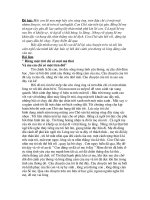 Một bài văn hay lớp 4