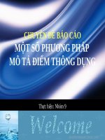 Chuyên đề báo cáo: Một số phương pháp mô tả điểm thông dụng ppt
