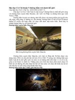 ĐỊA ĐẠO CỦ CHI