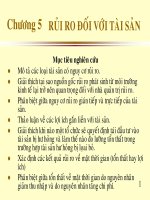 Quản Trị Rủi Ro - Chương 5 docx