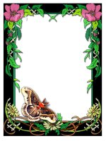 Bài 63: Động vật ăn gì để sống?- KHOA HỌC 4