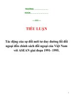 Tiểu luận 