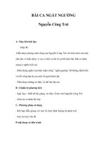 BÀI CA NGẤT NGƯỞNG Nguyễn Công Trứ pptx