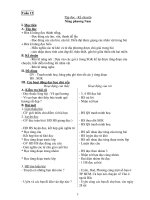 Giáo Án Tiếng Việt Lớp 3_Tuần 12 potx