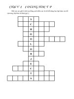 Ô chữ về Đồ dùng học tập