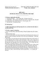 Biên bản đánh giá MCLTT tiểu học