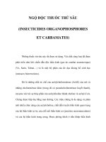NGỘ ĐỘC THUỐC TRỪ SÂU (INSECTICIDES ORGANOPHOSPHORES ET CARBAMATES) doc