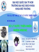 Tiểu luận: Xử lý nước thiên nhiên nhiễm Arsenic doc