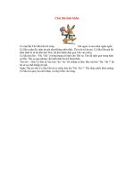 Chú Thỏ Tinh Khôn