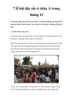 7 lễ hội đặc sắc ở châu Á trong tháng 11 ppt