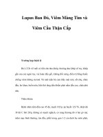 Lupus Ban Đỏ, Viêm Màng Tim và Viêm Cầu Thận Cấp doc