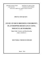 Doctoral thesis summary study on rice breeding for brown planthopper resistance using molecular markers