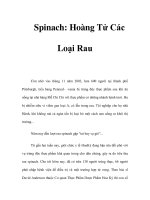 Spinach: Hoàng Tử Các Loại Rau ppsx