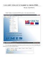 CÁC CHỨC NĂNG XỬ LÝ NGHIỆP VỤ TRONG PMIS
