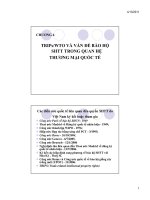 Sở hữu trí tuệ - TRIPs/WTO và vấn đề bảo hộ sở hữu trí tuệ trong quan hệ thương mại quốc tế docx