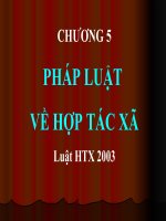 Chương 5: Pháp luật về hợp tác xã potx