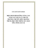 SKKN biện pháp bồi dưỡng nâng cao năng lực quản lý cho tổ trưởng chuyên môn trường trung học phổ thông số 1 bảo yên, tỉnh lào cai