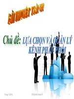 Bài thuyết trình quản lý chức năng kênh phân phối pps