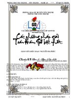 Chuyên Đề - Các phương pháp Giải Toán Hàm Số bậc nhất