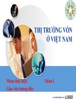 Tiểu luận: Thị trường vốn Viêt Nam potx