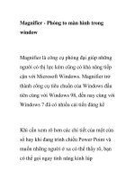Magnifier - Phóng to màn hình trong window potx